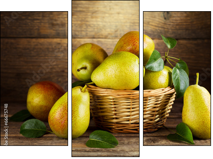 still life with fresh pears  - Obraz trzyczęściowy, Tryptyk