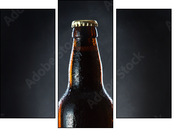 frozen  beer bottle  - Obraz trzyczęściowy, Tryptyk