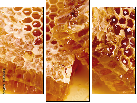 Słodko mi - plastry miodu - Obraz trzyczęściowy, Tryptyk