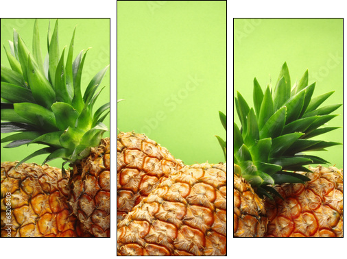 tropical pineapples  - Obraz trzyczęściowy, Tryptyk