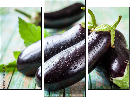 Eggplant  - Obraz trzyczęściowy, Tryptyk