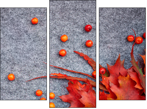 Autumn background . Rowan and leaves  - Obraz trzyczęściowy, Tryptyk