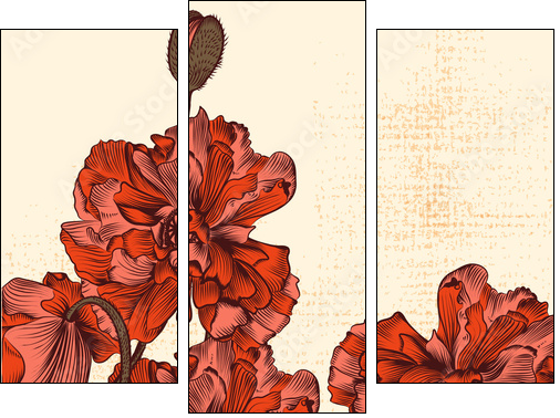 Grunge  background with hand drawn poppy flowers and butterfly  - Obraz trzyczęściowy, Tryptyk