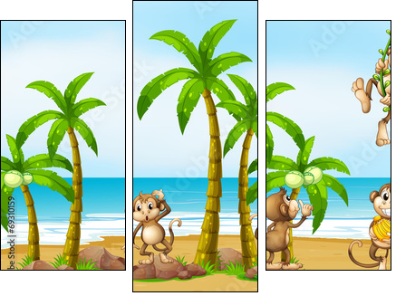 Monkey on beach  - Obraz trzyczęściowy, Tryptyk