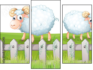Three sheeps  - Obraz trzyczęściowy, Tryptyk