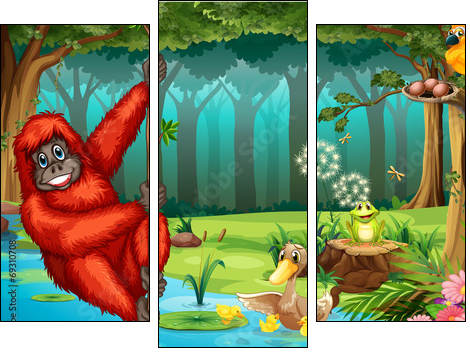 Orangutan in jungle  - Obraz trzyczęściowy, Tryptyk