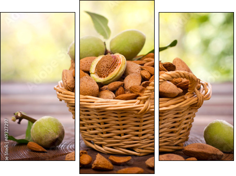 Fresh almonds in the basket  - Obraz trzyczęściowy, Tryptyk