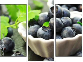 Blaubeeren  - Obraz trzyczęściowy, Tryptyk