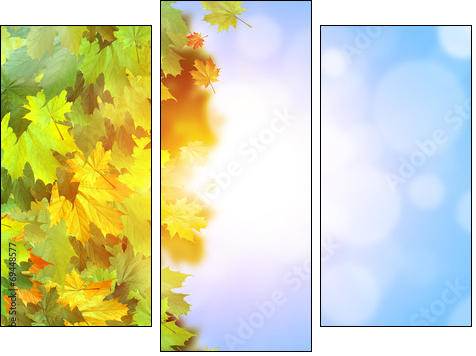 Autumn leaves  - Obraz trzyczęściowy, Tryptyk