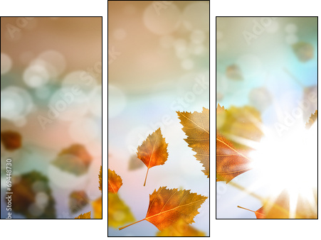 Autumn leaves  - Obraz trzyczęściowy, Tryptyk