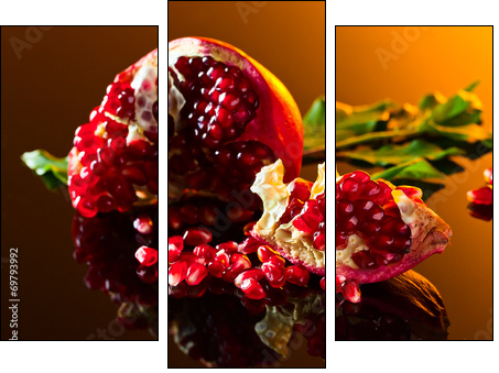 pomegranate  - Obraz trzyczęściowy, Tryptyk