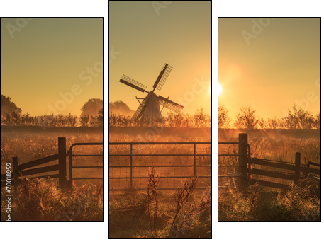 Fence and windmill in the Dutch countryside.  - Obraz trzyczęściowy, Tryptyk
