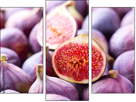 fresh figs  - Obraz trzyczęściowy, Tryptyk