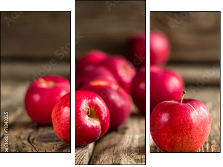 Apples  - Obraz trzyczęściowy, Tryptyk