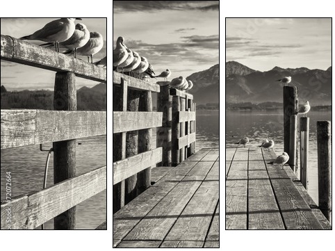 old wooden jetty  - Obraz trzyczęściowy, Tryptyk