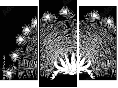 Monochromatyczny paw - Obraz trzyczęściowy, Tryptyk