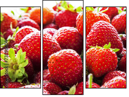 Strawberry panorama.  - Obraz trzyczęściowy, Tryptyk