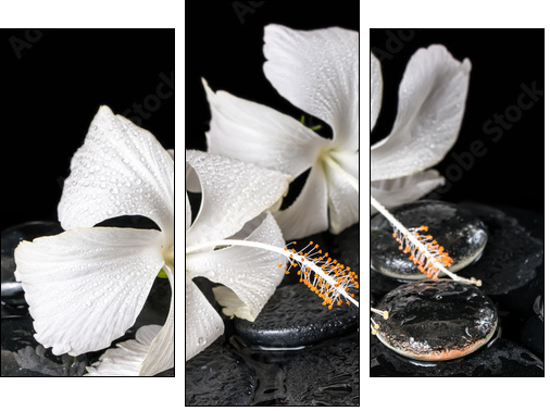 Beautiful cryogenic spa concept of delicate white hibiscus, zen  - Obraz trzyczęściowy, Tryptyk
