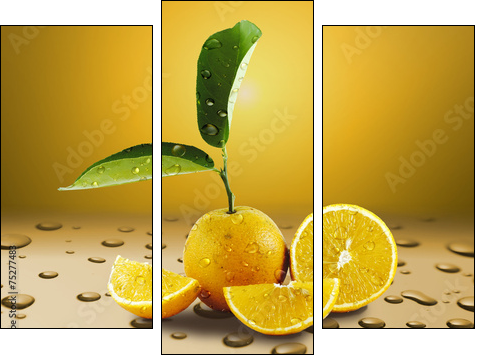 Laranja Molhada  - Obraz trzyczęściowy, Tryptyk