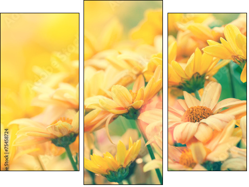 Vintage flower lawn for background  - Obraz trzyczęściowy, Tryptyk