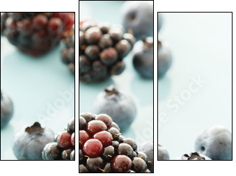 fresh berries  - Obraz trzyczęściowy, Tryptyk