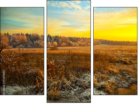 Field, forest, dry grass - beautiful landscape at sunset  - Obraz trzyczęściowy, Tryptyk