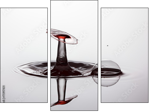 Water drop close up  - Obraz trzyczęściowy, Tryptyk