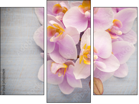 Orchid.  - Obraz trzyczęściowy, Tryptyk