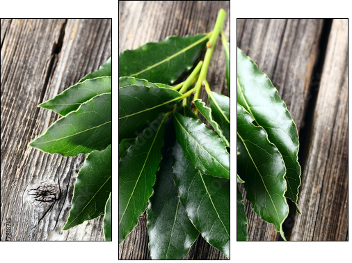 Laurel leaves on a wooden background  - Obraz trzyczęściowy, Tryptyk