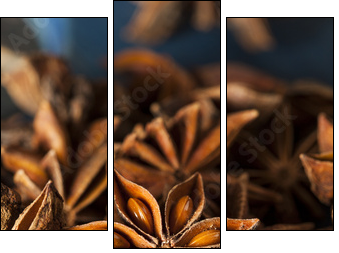 Organic Dry Star of Anise  - Obraz trzyczęściowy, Tryptyk