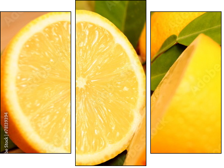 Zitronen  - Obraz trzyczęściowy, Tryptyk