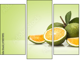 Green sweet oranges fruit  - Obraz trzyczęściowy, Tryptyk