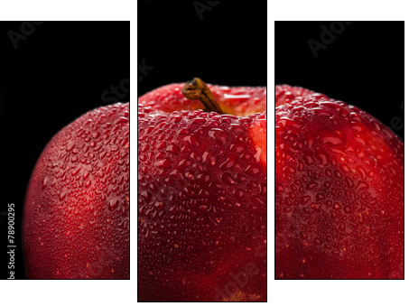 Red apple  - Obraz trzyczęściowy, Tryptyk