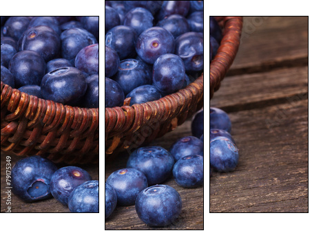 Heidelbeeren, Blaubeeren  - Obraz trzyczęściowy, Tryptyk