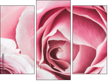 Na górze różowe róże
 - Obraz trzyczęściowy, Tryptyk