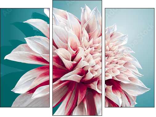 Dahlia - Obraz trzyczęściowy, Tryptyk