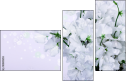 100410214