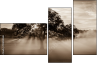 110890468