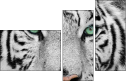 13468757