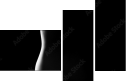 135772051