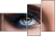 138254237