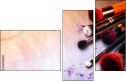 145026645