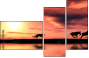 15223082
