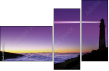 16699558