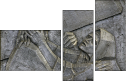 20059102