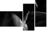 20350082