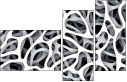 20505205