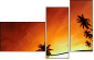 20708520