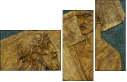 20884913