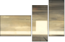 21155951